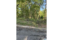 5113 BIDDLE CIRCLE, MOUNT OLIVE, AL 35117