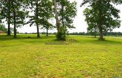 3585 County Road 395, Dutton, AL 35744