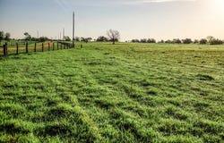 Tract 6 Fieldcrest Ln, Burton, TX 77835