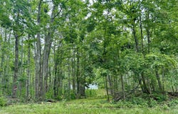 4094 NORTH VAIL LANE, GAYLORD, MI 49735