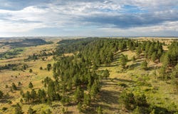 A7 Broad Axe Road, Gillette, WY 82718