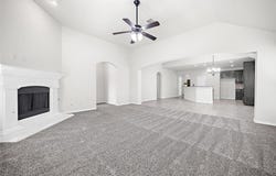 10005 Petrified Tree Lane, McKinney, TX 75072
