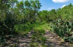 000 County Road 241, Three Rivers, TX 78071
