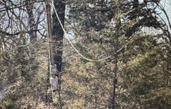 0 Sundown Road, Highland, AR 72542