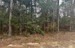 Blountstown Highway, Leon, FL 32310