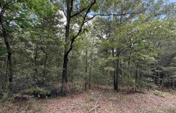 Bell Foley Road, Poughkeepsie, AR 72569