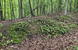 Jaybird Branch Road, Coeburn, VA 24230