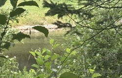 LOT 223 WEST RIVER RD, NAUBINWAY, MI 49762