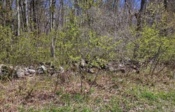 0 Sandisfield Rd, Sandisfield, MA 01255