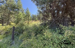 135 SLIPPERY HILL LN, REPUBLIC, WA 99166