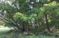 126 Huckleberry Turnpike, Wallkill, NY 12589