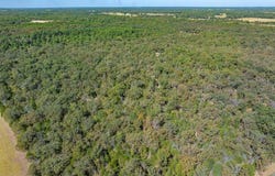 Tract 3 Pvt Rd 8079 Road, Ben Wheeler, TX 75754