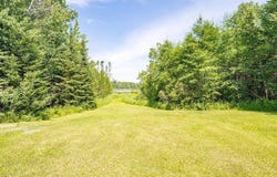 7017 Three Lakes Road, Canyon, MN 55717