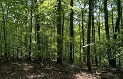 2 FIERY RUN ROAD, LINDEN, VA 22642