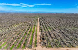 0 Avenue 20, Madera, CA 93638