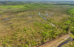 Tbd Alligator Road, Olar, SC 29843