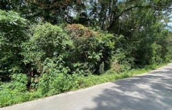 181 Maple Ln, Other, TX 77357-2836