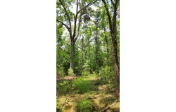 1281 CR 864, Cushing, TX 75760