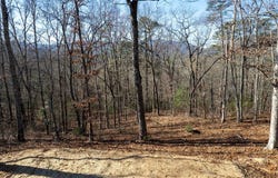 Osprey Mountain Way lot: 3, Sylva, NC 28779