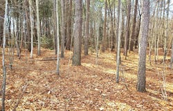 GRAVEL BRANCH ROAD, HURLOCK, MD 21643