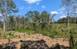 TBD CR 142 N, San Augustine, TX 75972