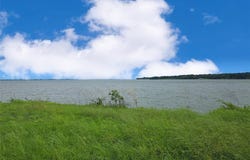 Lot 61 Open Water Way, Streetman, TX 75859