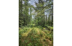 Camp 6 Road, McMillan, MI 49853