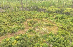 Vacant E Washington Highway, Monticello, FL 32344