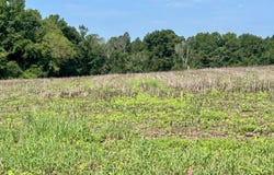 00 Walter Bright Road, Sanford, NC 27330