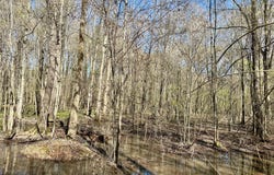 Swamp Road, Carthage, MS 39051