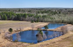 000 State Highway 64, Ben Wheeler, TX 75754