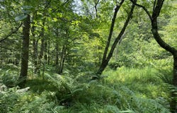 Ny-22, Austerlitz, NY 12017