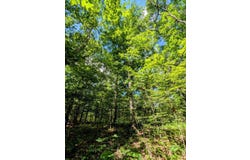 Pleasant Valley Rd, Vinton, OH 45686