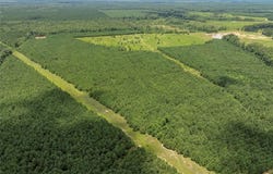 0 Faith Plantation Drive, Princeton, LA 71067