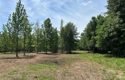 0000 CR 1412, Bogata, TX 75417
