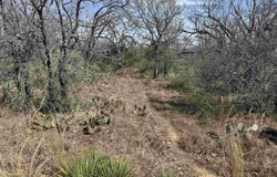 Lot 294 Pinemont Drive, Kingsland, TX 78639