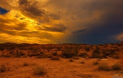 Bowman Trail, Joshua Tree, CA 92252