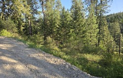 NKA Deer Rd, Harrison, ID 83833