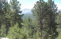 171 Broken Wagon Road, Woodland Park, CO 80863
