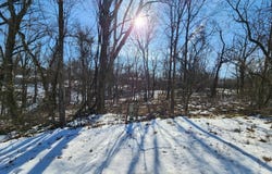 Quantock Hills Drive lot: 20, Bella Vista, AR 72715