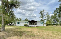 289 SE Candlestick Trail, Lee, FL 32059