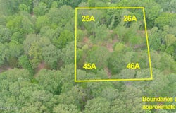 Lot 45a Walleye Way, Scottsville, KY 42164