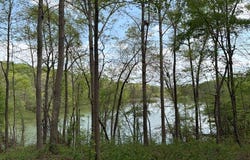 438 Arrowhead Lake Trail, Westminster, SC 29693
