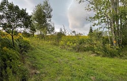 Lot #37.01 County Highway 4, Morris, NY 13808
