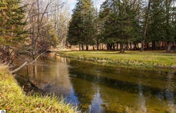 15445 Holly Drive, Thompsonville, MI 49683-9576