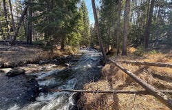 NHN Herring Flats Road, Anaconda, MT 59711
