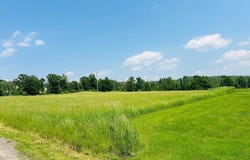 0 Moore Hill Rd, Nichols, NY 13812