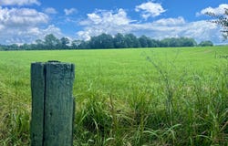 0001 Glaze Ferry Road, Vincent, AL 35078