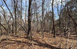 Xxx E Viking Boulevard, Wyoming, MN 55092