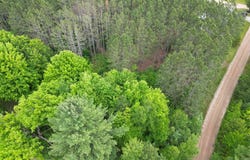 TBD Wintergreen, Farwell, MI 48622